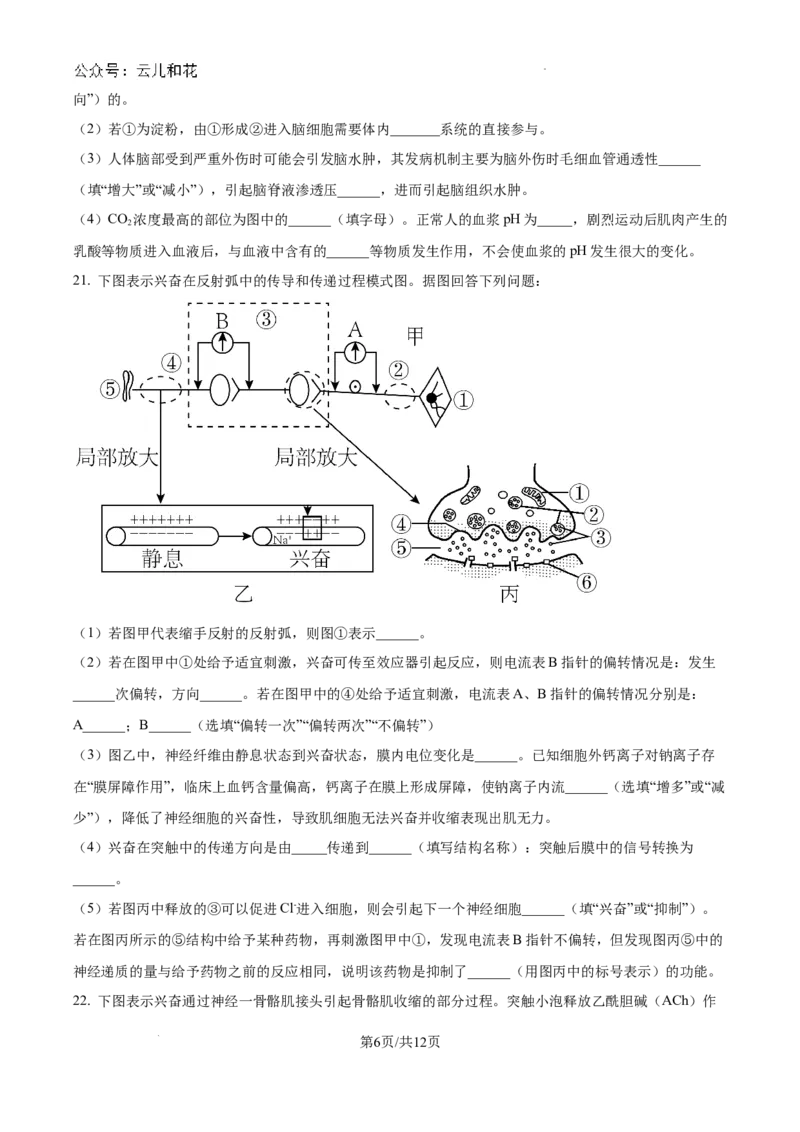 江苏省镇江中学2024-2025学年高二上学期期初学情检测生物试卷_2024-2025高二（7-7月题库）_2024年09月试卷_0926江苏省镇江中学2024年高二上学期期初学情检测