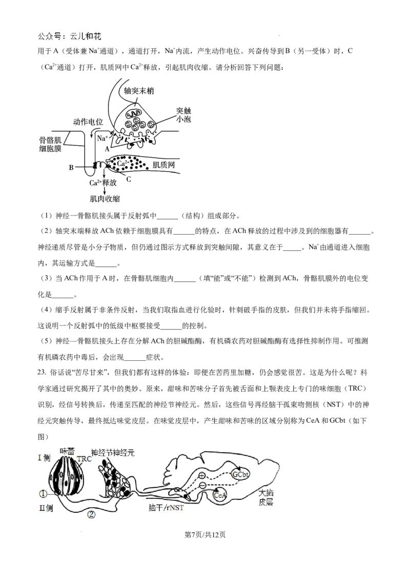 江苏省镇江中学2024-2025学年高二上学期期初学情检测生物试卷_2024-2025高二（7-7月题库）_2024年09月试卷_0926江苏省镇江中学2024年高二上学期期初学情检测