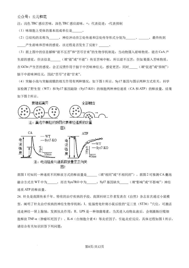 江苏省镇江中学2024-2025学年高二上学期期初学情检测生物试卷_2024-2025高二（7-7月题库）_2024年09月试卷_0926江苏省镇江中学2024年高二上学期期初学情检测