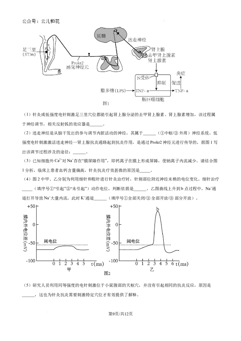 江苏省镇江中学2024-2025学年高二上学期期初学情检测生物试卷_2024-2025高二（7-7月题库）_2024年09月试卷_0926江苏省镇江中学2024年高二上学期期初学情检测
