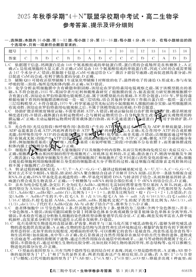 南宁4+N联盟2025秋季期中高二生物答案_251229广西南宁市&ldquo;4+N&rdquo;联盟学校2025-2026学年高二上学期期中考试（全）_广西南宁市&ldquo;4+N&rdquo;联盟学校2025-2026学年高二上学期期中考试生物试题含答案