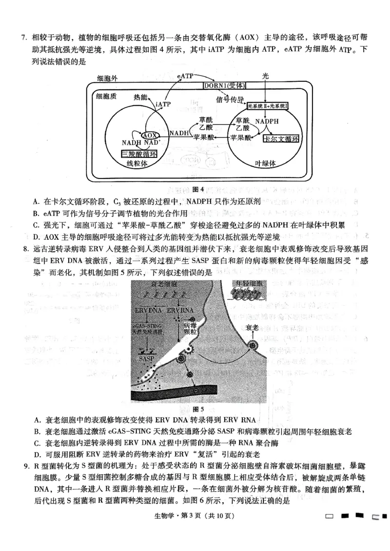 巴蜀中学2025届高考适应性月考卷（三）生物_2024-2025高三（6-6月题库）_2024年11月试卷_1118重庆巴蜀中学2025届高考适应性月考卷（三）（全科）