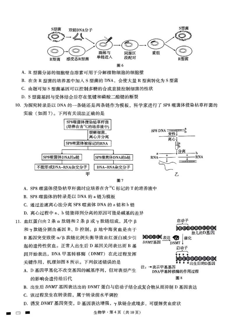 巴蜀中学2025届高考适应性月考卷（三）生物_2024-2025高三（6-6月题库）_2024年11月试卷_1118重庆巴蜀中学2025届高考适应性月考卷（三）（全科）