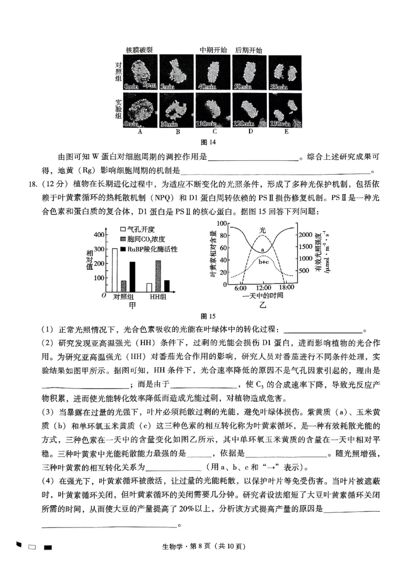 巴蜀中学2025届高考适应性月考卷（三）生物_2024-2025高三（6-6月题库）_2024年11月试卷_1118重庆巴蜀中学2025届高考适应性月考卷（三）（全科）