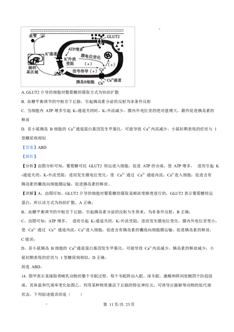 湖南省永州市2024-2025学年高二上学期期末质量监测生物试题Word版含解析_2024-2025高二（7-7月题库）_2025年03月试卷_0304湖南省永州市2024-2025学年高二上学期期末