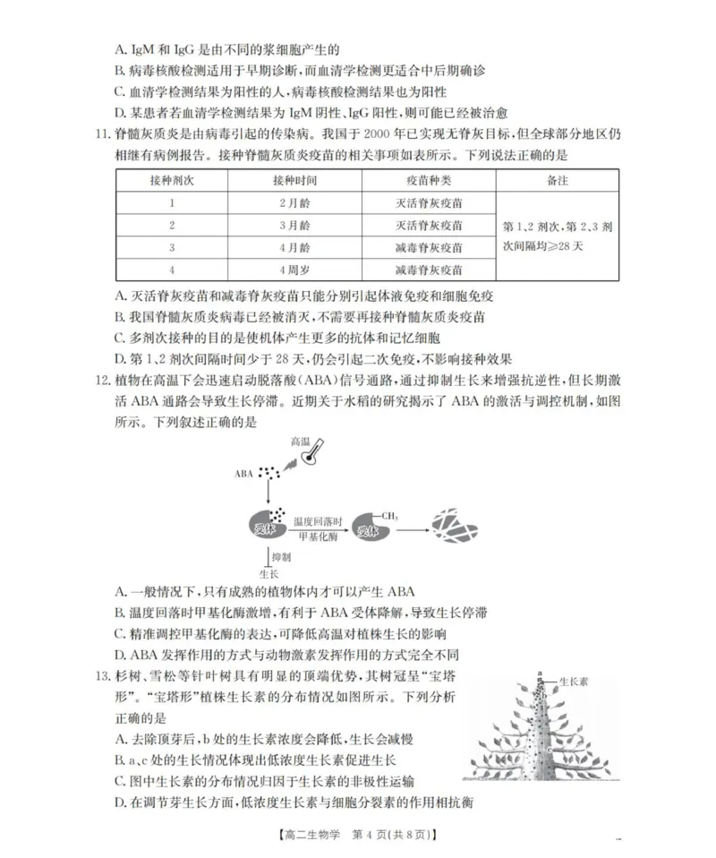 山西省名校三晋联盟2025-2026学年高二上学期12月联合考试生物试题_2024-2025高二（7-7月题库）_2026年1月高二