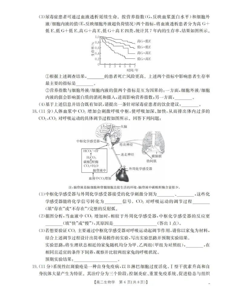 山西省名校三晋联盟2025-2026学年高二上学期12月联合考试生物试题_2024-2025高二（7-7月题库）_2026年1月高二
