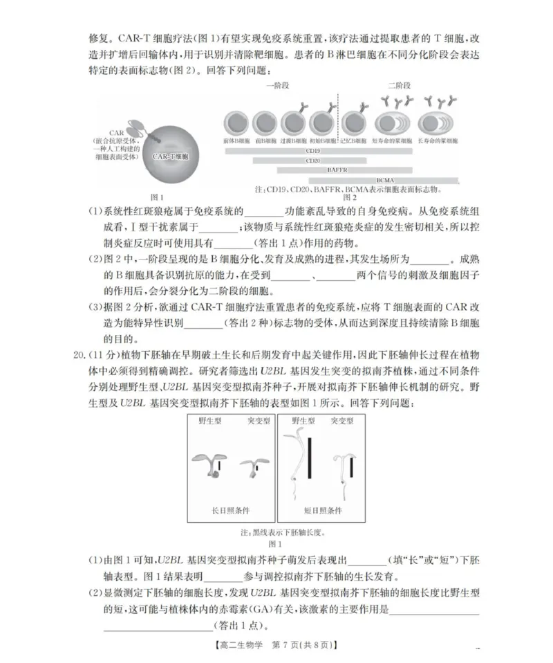 山西省名校三晋联盟2025-2026学年高二上学期12月联合考试生物试题_2024-2025高二（7-7月题库）_2026年1月高二