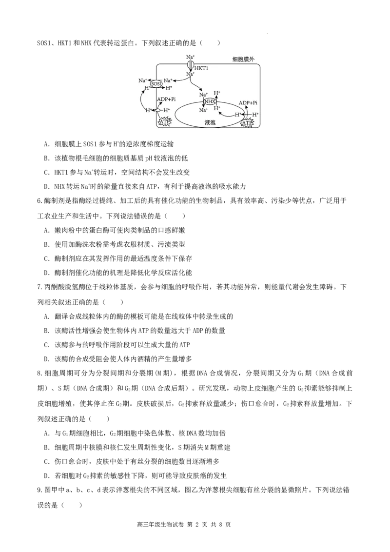 安徽省合肥市普通高中六校联盟2025届高三上学期期中联考生物_2024-2025高三（6-6月题库）_2024年12月试卷_1201安徽省合肥市普通高中六校联盟2025届高三上学期期中联考（全科）
