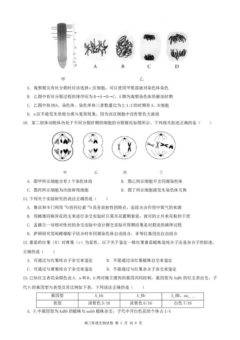 安徽省合肥市普通高中六校联盟2025届高三上学期期中联考生物_2024-2025高三（6-6月题库）_2024年12月试卷_1201安徽省合肥市普通高中六校联盟2025届高三上学期期中联考（全科）