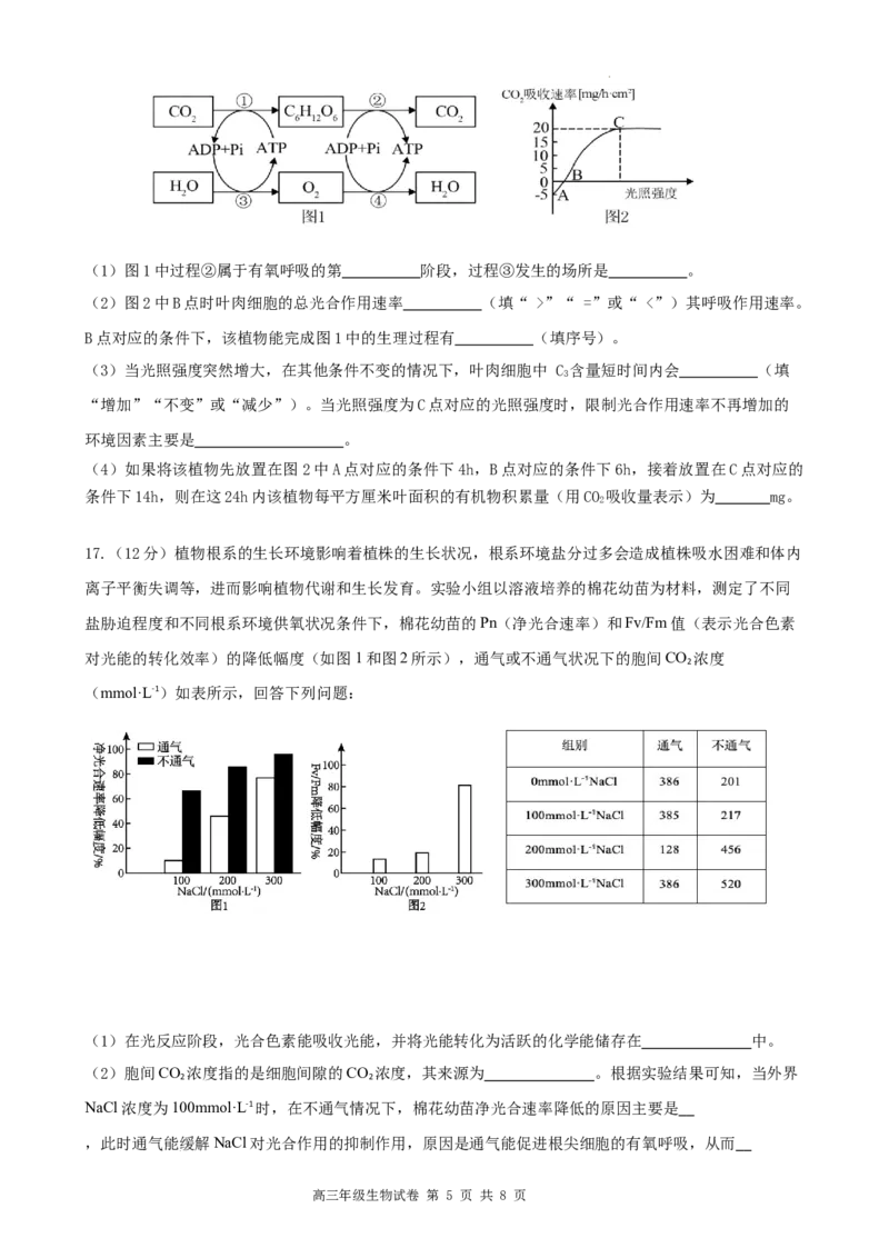 安徽省合肥市普通高中六校联盟2025届高三上学期期中联考生物_2024-2025高三（6-6月题库）_2024年12月试卷_1201安徽省合肥市普通高中六校联盟2025届高三上学期期中联考（全科）