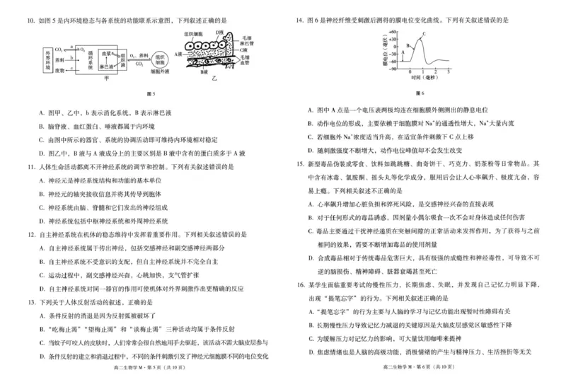 云南省&ldquo;美美与共&rdquo;民族中学联盟2025-2026学年高二上学期联考（一）生物试题_2025年10月高二试卷_251008云南省&ldquo;美美与共&rdquo;民族中学联盟2025-2026学年高二上学期联考（一）