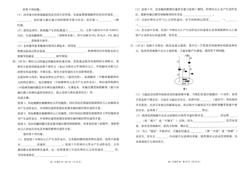 云南省&ldquo;美美与共&rdquo;民族中学联盟2025-2026学年高二上学期联考（一）生物试题_2025年10月高二试卷_251008云南省&ldquo;美美与共&rdquo;民族中学联盟2025-2026学年高二上学期联考（一）
