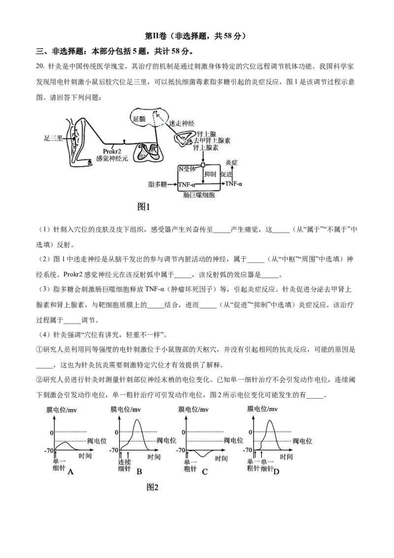 江苏省南京市2024-2025学年高二上学期11月期中生物试题Word版无答案_2024-2025高二（7-7月题库）_2024年11月试卷_1116江苏省南京市2024-2025学年高二上学期期中考试