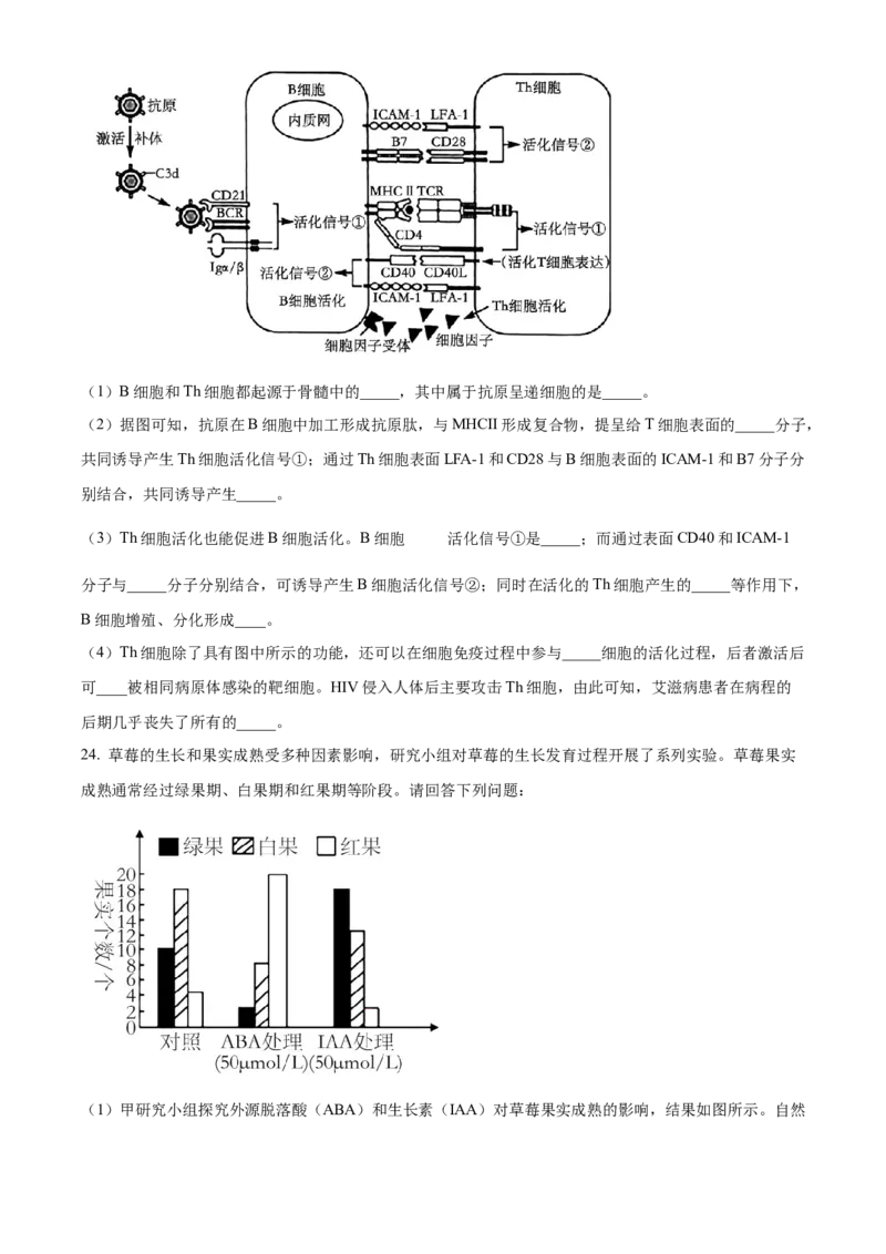 江苏省南京市2024-2025学年高二上学期11月期中生物试题Word版无答案_2024-2025高二（7-7月题库）_2024年11月试卷_1116江苏省南京市2024-2025学年高二上学期期中考试