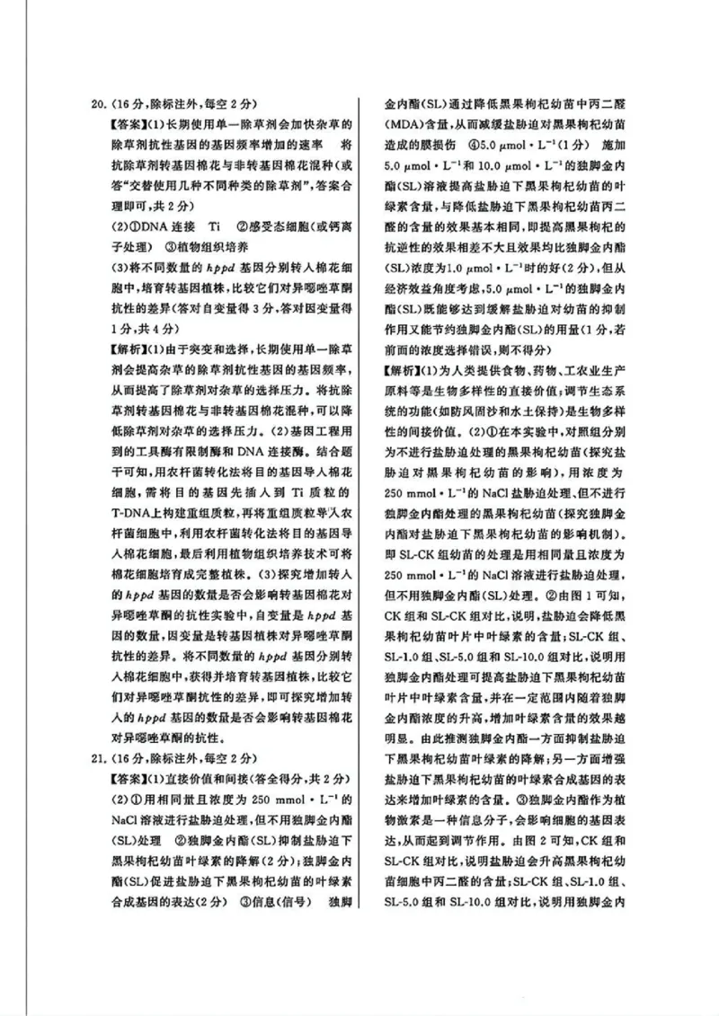 T8冲刺新高考2025届高三仿真模拟卷（三）生物试题及答案_2024-2025高三（6-6月题库）_2024年12月试卷_1212T8冲刺新高考2025届高三仿真模拟卷（三）