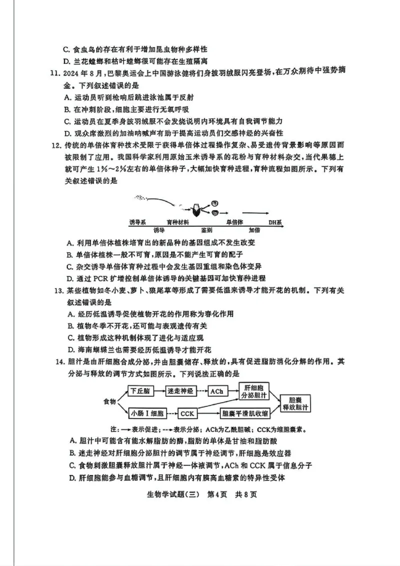 T8冲刺新高考2025届高三仿真模拟卷（三）生物试题及答案_2024-2025高三（6-6月题库）_2024年12月试卷_1212T8冲刺新高考2025届高三仿真模拟卷（三）
