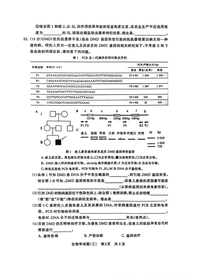 T8冲刺新高考2025届高三仿真模拟卷（三）生物试题及答案_2024-2025高三（6-6月题库）_2024年12月试卷_1212T8冲刺新高考2025届高三仿真模拟卷（三）