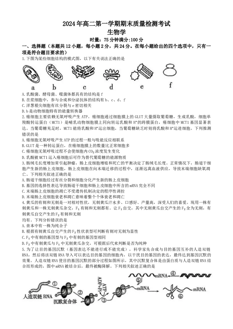 湖南省炎德英才名校联合体2024-2025学年高二上学期期末联考生物试卷Word版含解析_2024-2025高二（7-7月题库）_2025年01月试卷