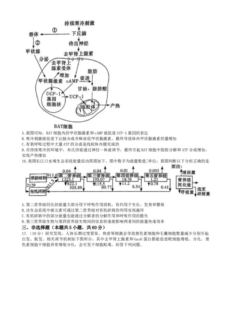 湖南省炎德英才名校联合体2024-2025学年高二上学期期末联考生物试卷Word版含解析_2024-2025高二（7-7月题库）_2025年01月试卷