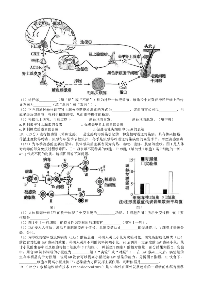 湖南省炎德英才名校联合体2024-2025学年高二上学期期末联考生物试卷Word版含解析_2024-2025高二（7-7月题库）_2025年01月试卷