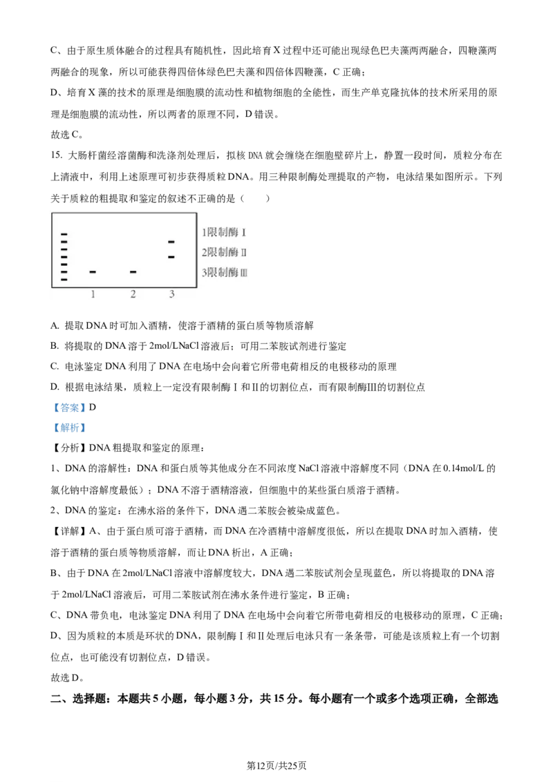 精品解析：2024届山东省聊城市高三一模生物试题（解析版）_2024年3月_013月合集_2024届山东省聊城市高考模拟试题（一）_山东省聊城市2024年高考模拟试题（一）生物