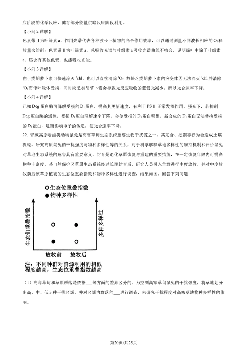 精品解析：2024届山东省聊城市高三一模生物试题（解析版）_2024年3月_013月合集_2024届山东省聊城市高考模拟试题（一）_山东省聊城市2024年高考模拟试题（一）生物