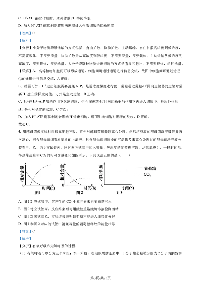 精品解析：2024届山东省聊城市高三一模生物试题（解析版）_2024年3月_013月合集_2024届山东省聊城市高考模拟试题（一）_山东省聊城市2024年高考模拟试题（一）生物