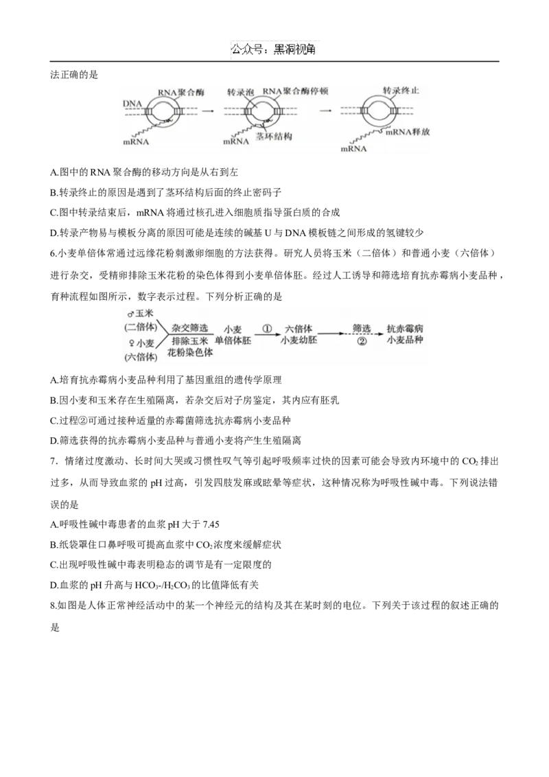 江苏省泰州中学2025届高三上学期一模试题生物Word版含答案_2024-2025高三（6-6月题库）_2025年01月试卷_0110江苏省泰州中学2025届高三上学期一模试题