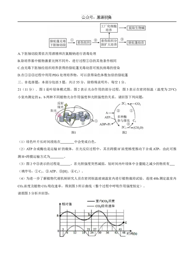 江苏省泰州中学2025届高三上学期一模试题生物Word版含答案_2024-2025高三（6-6月题库）_2025年01月试卷_0110江苏省泰州中学2025届高三上学期一模试题