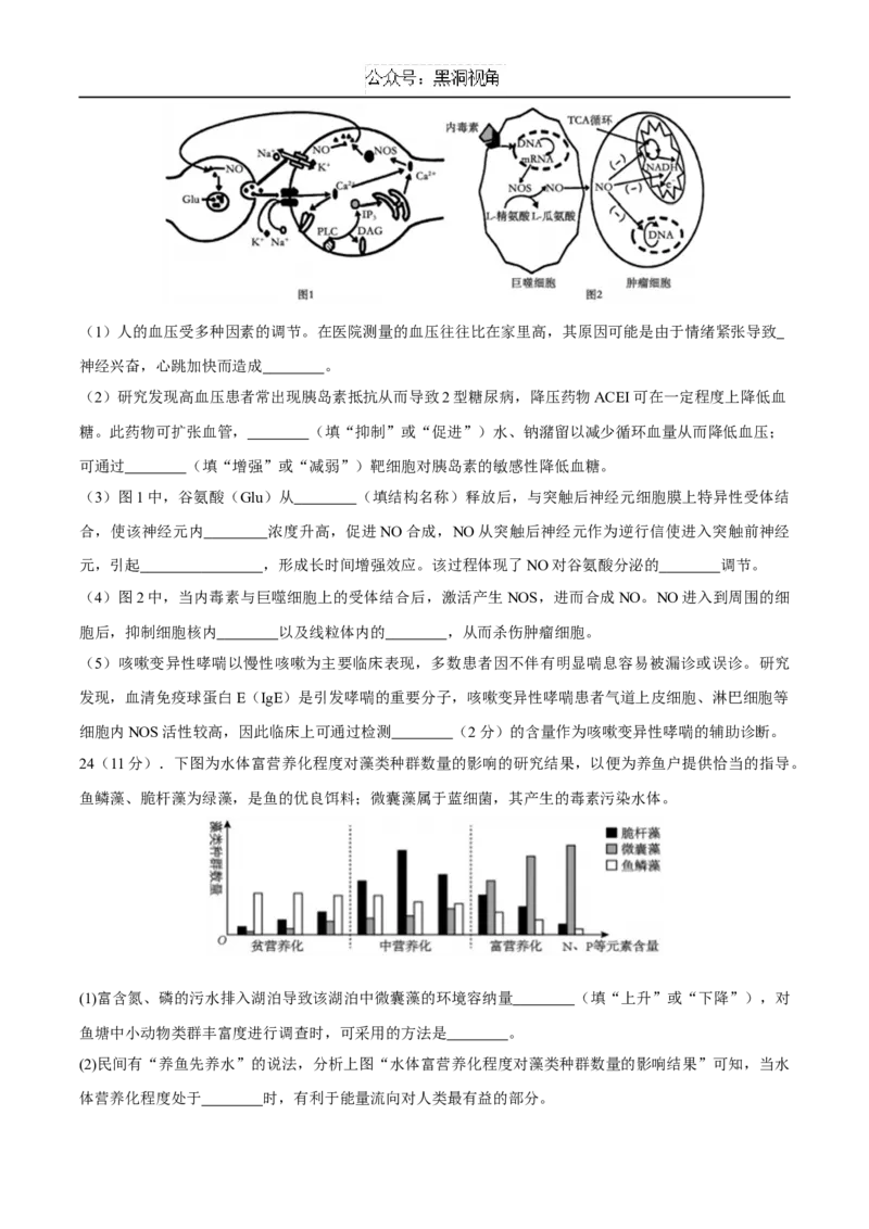 江苏省泰州中学2025届高三上学期一模试题生物Word版含答案_2024-2025高三（6-6月题库）_2025年01月试卷_0110江苏省泰州中学2025届高三上学期一模试题
