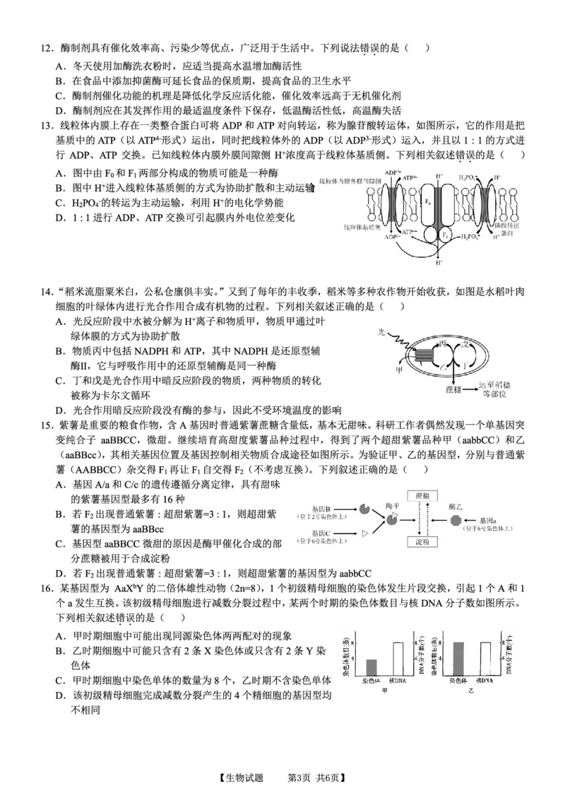 安徽省合肥市第四中学2023-2024学年高三上学期11月月考生物(1)_2023年11月_0211月合集_2024届安徽省徽师联盟高三11月质量检测卷_安徽省徽师联盟2024届高三11月质量检测卷生物