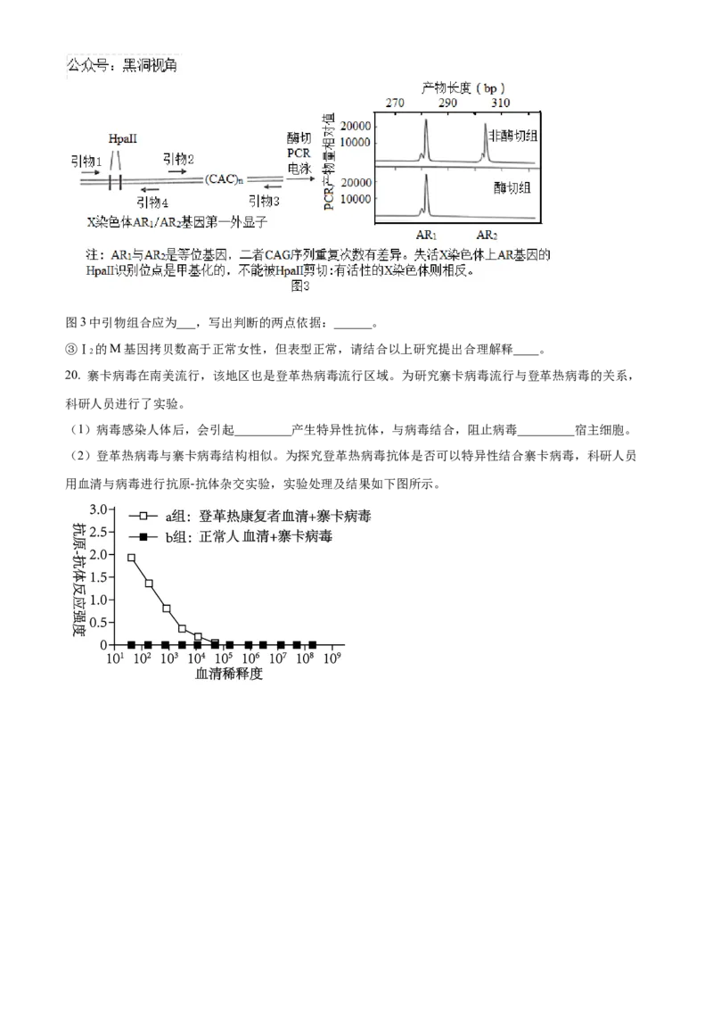 北京市海淀区2024-2025学年高三上学期10月月考生物试卷Word版无答案_2024-2025高三（6-6月题库）_2024年10月试卷_1030北京市海淀区2024-2025学年高三上学期10月考试