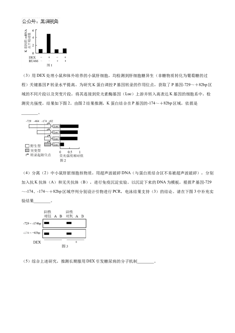 北京市海淀区2024-2025学年高三上学期10月月考生物试卷Word版无答案_2024-2025高三（6-6月题库）_2024年10月试卷_1030北京市海淀区2024-2025学年高三上学期10月考试