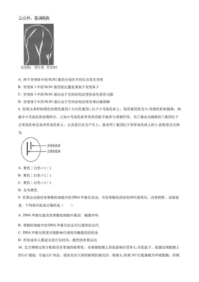 北京市海淀区2024-2025学年高三上学期10月月考生物试卷Word版无答案_2024-2025高三（6-6月题库）_2024年10月试卷_1030北京市海淀区2024-2025学年高三上学期10月考试