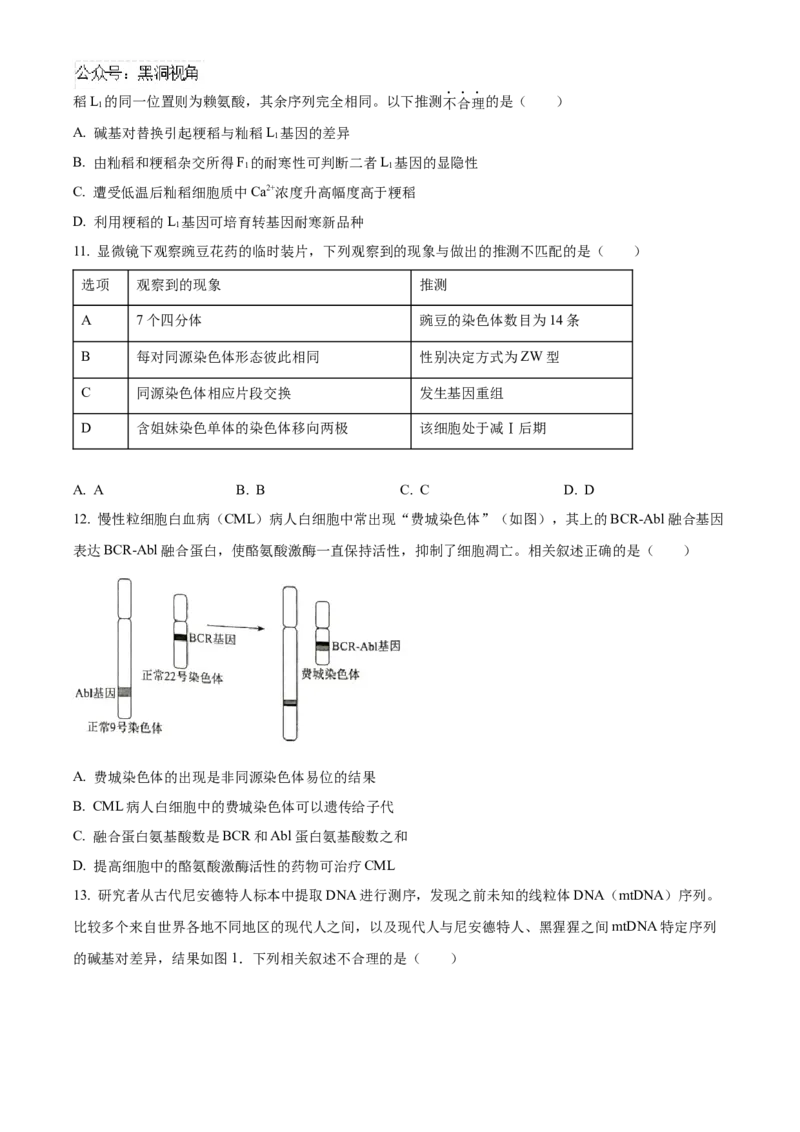 北京市海淀区2024-2025学年高三上学期10月月考生物试卷Word版无答案_2024-2025高三（6-6月题库）_2024年10月试卷_1030北京市海淀区2024-2025学年高三上学期10月考试