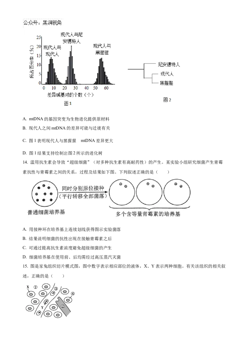 北京市海淀区2024-2025学年高三上学期10月月考生物试卷Word版无答案_2024-2025高三（6-6月题库）_2024年10月试卷_1030北京市海淀区2024-2025学年高三上学期10月考试