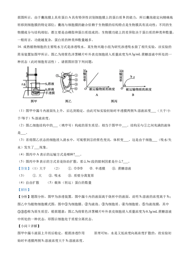 天津市河北区2024-2025学年高三上学期11月期中质量检测生物试题Word版含解析_2024-2025高三（6-6月题库）_2024年12月试卷_1201天津市河北区2024-2025学年高三上学期11月期中考试（全科）