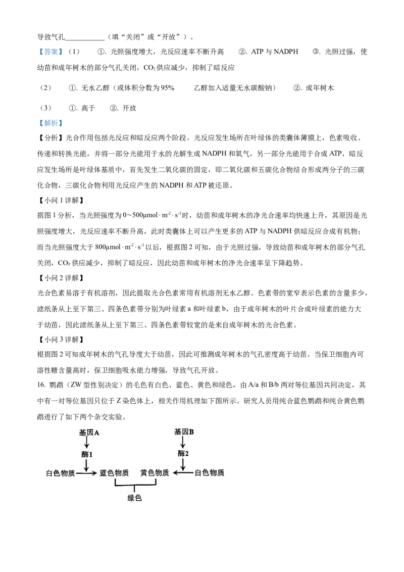 天津市河北区2024-2025学年高三上学期11月期中质量检测生物试题Word版含解析_2024-2025高三（6-6月题库）_2024年12月试卷_1201天津市河北区2024-2025学年高三上学期11月期中考试（全科）