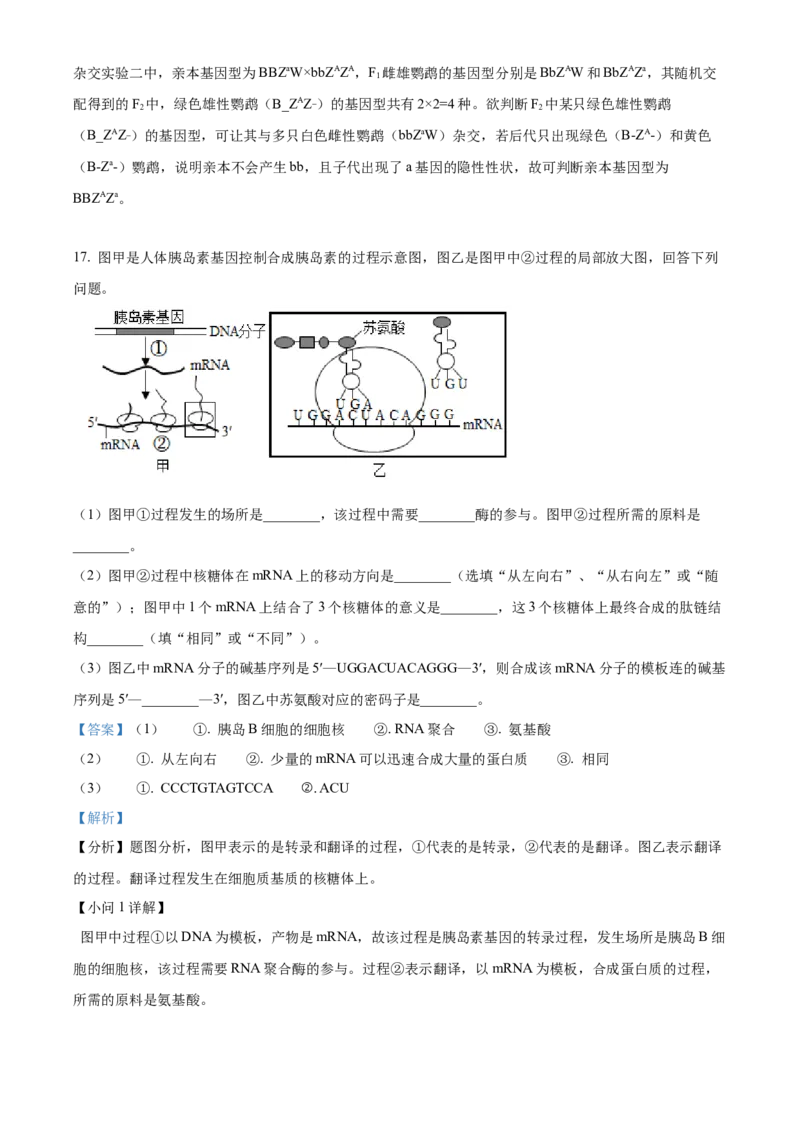 天津市河北区2024-2025学年高三上学期11月期中质量检测生物试题Word版含解析_2024-2025高三（6-6月题库）_2024年12月试卷_1201天津市河北区2024-2025学年高三上学期11月期中考试（全科）
