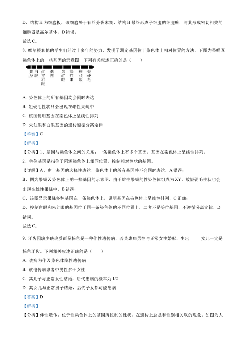 天津市河北区2024-2025学年高三上学期11月期中质量检测生物试题Word版含解析_2024-2025高三（6-6月题库）_2024年12月试卷_1201天津市河北区2024-2025学年高三上学期11月期中考试（全科）