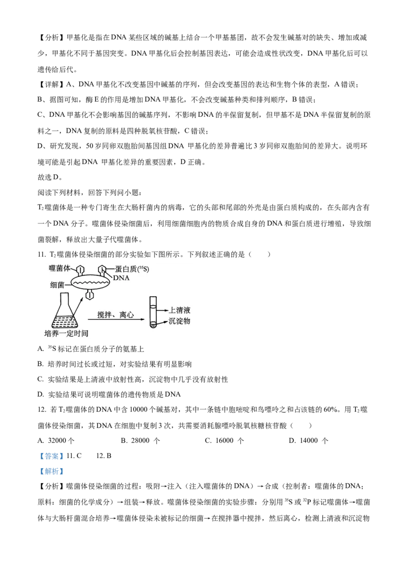 天津市河北区2024-2025学年高三上学期11月期中质量检测生物试题Word版含解析_2024-2025高三（6-6月题库）_2024年12月试卷_1201天津市河北区2024-2025学年高三上学期11月期中考试（全科）