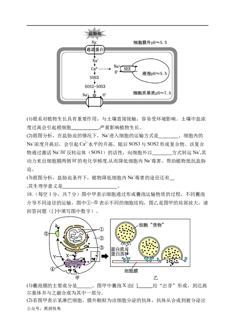 天津市静海区第一中学2024-2025学年高三上学期10月月考试题生物Word版含答案_2024-2025高三（6-6月题库）_2024年10月试卷_1019天津市静海区第一中学2024-2025学年高三上学期10月月考