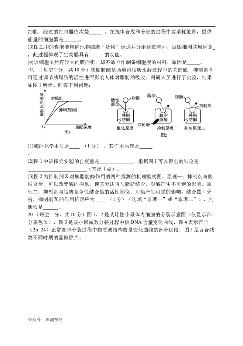 天津市静海区第一中学2024-2025学年高三上学期10月月考试题生物Word版含答案_2024-2025高三（6-6月题库）_2024年10月试卷_1019天津市静海区第一中学2024-2025学年高三上学期10月月考