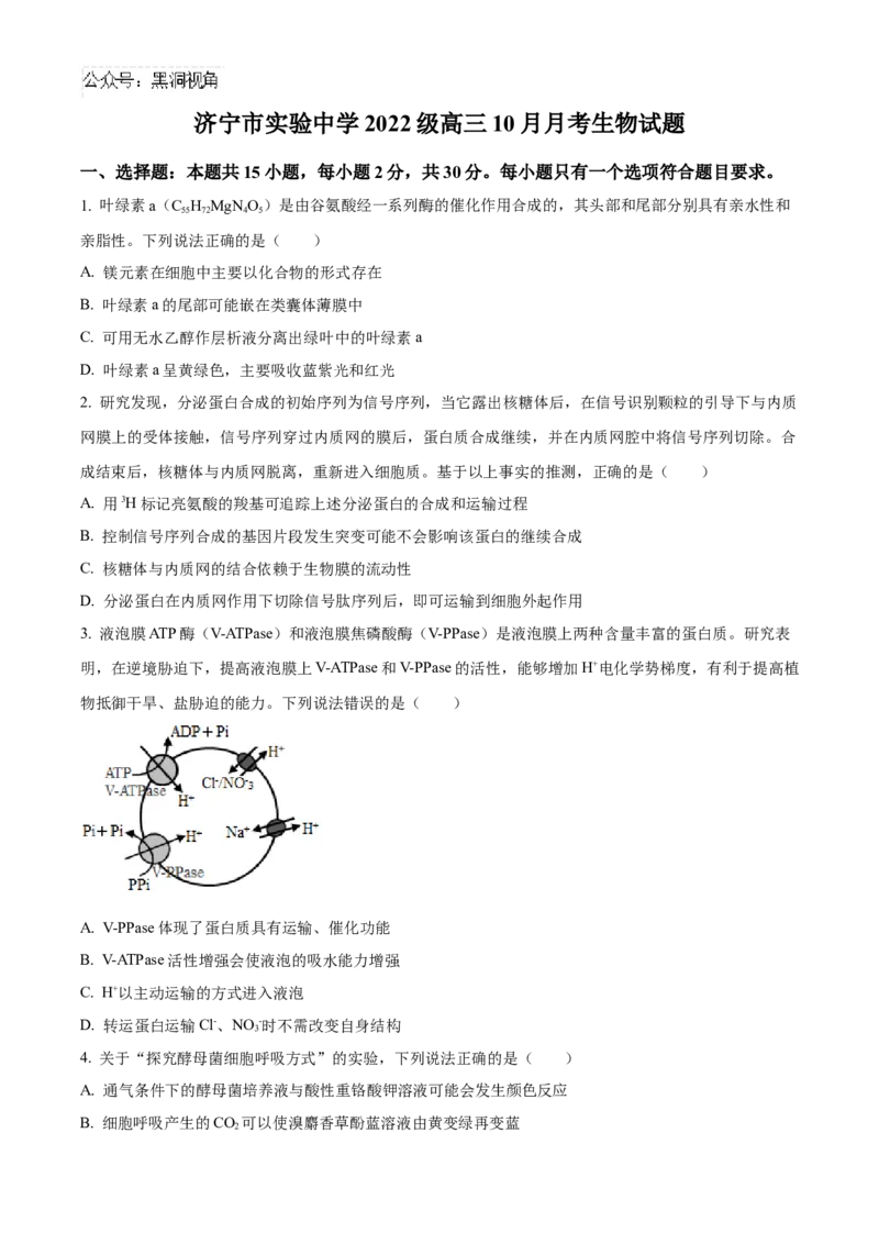 山东省济宁市实验中学2025届高三上学期10月月考生物试题_2024-2025高三（6-6月题库）_2024年10月试卷_1031山东省济宁市实验中学2025届高三上学期10月月考