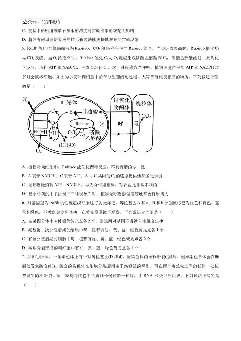 山东省济宁市实验中学2025届高三上学期10月月考生物试题_2024-2025高三（6-6月题库）_2024年10月试卷_1031山东省济宁市实验中学2025届高三上学期10月月考