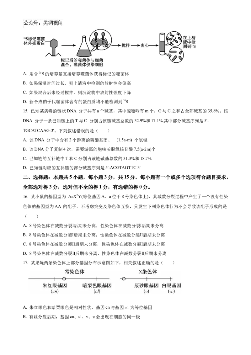 山东省济宁市实验中学2025届高三上学期10月月考生物试题_2024-2025高三（6-6月题库）_2024年10月试卷_1031山东省济宁市实验中学2025届高三上学期10月月考
