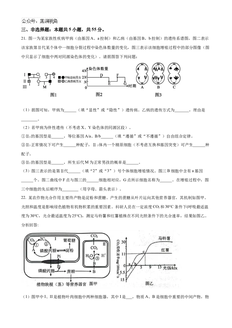 山东省济宁市实验中学2025届高三上学期10月月考生物试题_2024-2025高三（6-6月题库）_2024年10月试卷_1031山东省济宁市实验中学2025届高三上学期10月月考