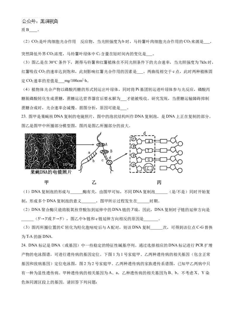 山东省济宁市实验中学2025届高三上学期10月月考生物试题_2024-2025高三（6-6月题库）_2024年10月试卷_1031山东省济宁市实验中学2025届高三上学期10月月考