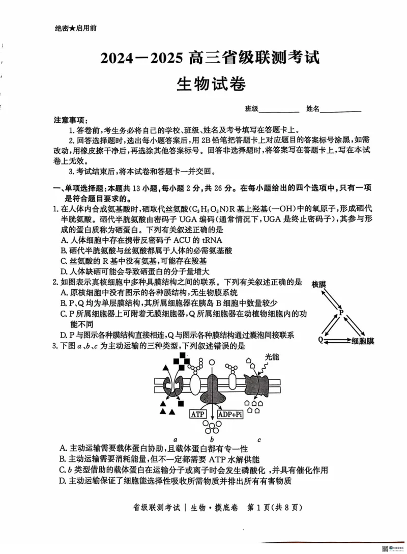 河北省2024-2025学年高三省级联测考试生物试题+答案_2024-2025高三（6-6月题库）_2024年10月试卷_1003河北省2024-2025学年高三省级联测考试